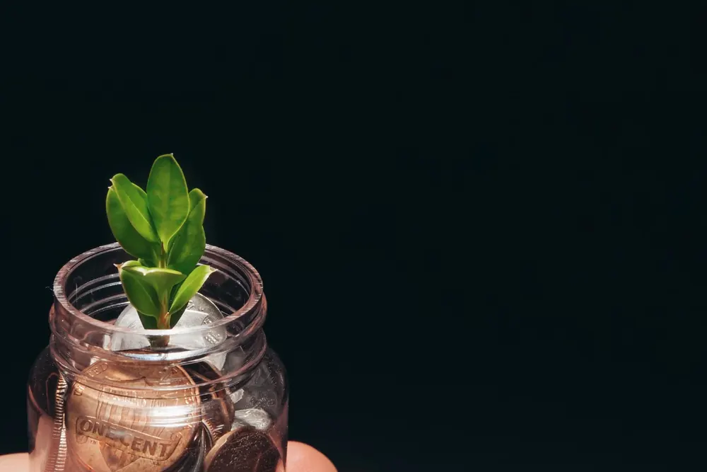 Una planta pequeña crece dentro de un bote de cristal lleno de monedas