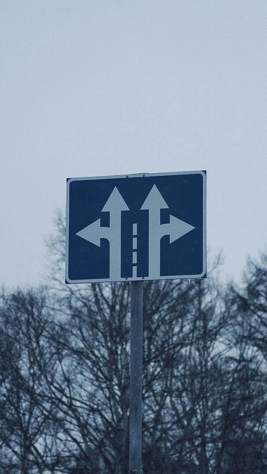 Señal de tráfico con dos flechas que indican caminos paralelos